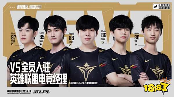 体系的共同 体系的共同