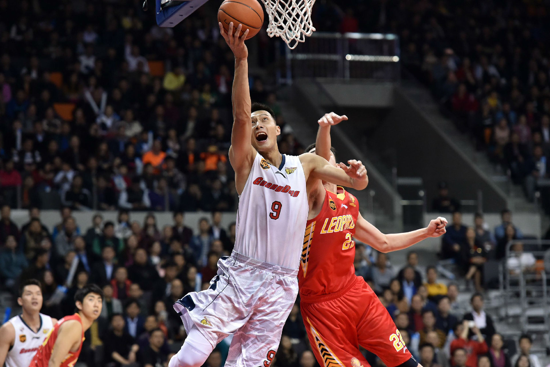 飞燕诺的中 飞燕诺的中