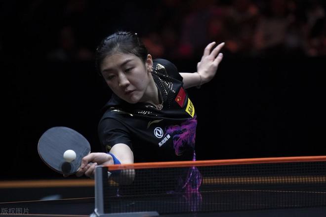 合同结构 合同结构